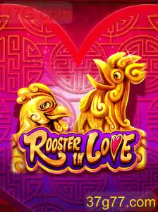 Descobrindo o Fascinante Mundo de RoosterInLove